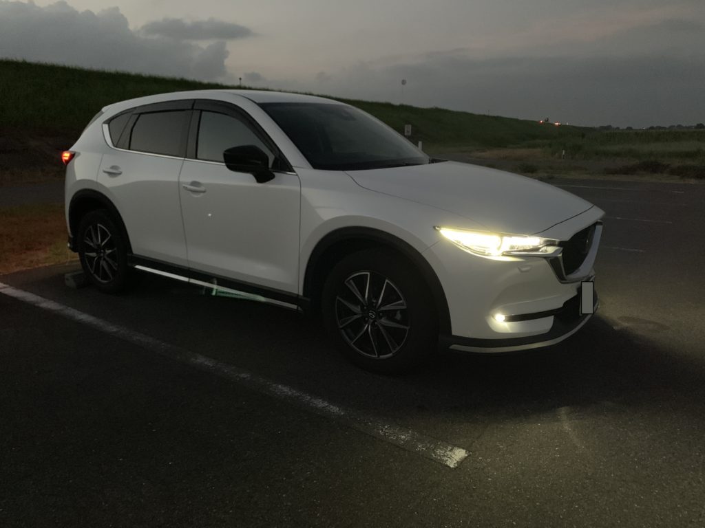 マスト Cx 5にオススメなオプション わか草ブログ